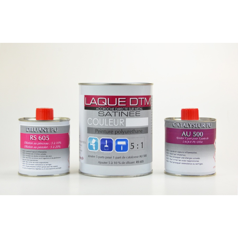 Kit peinture polyuréthane Satinée Couleurs avec diluant et durcisseur